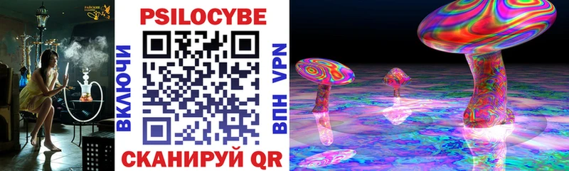 Галлюциногенные грибы MAGIC MUSHROOMS  где купить наркоту  Верещагино 